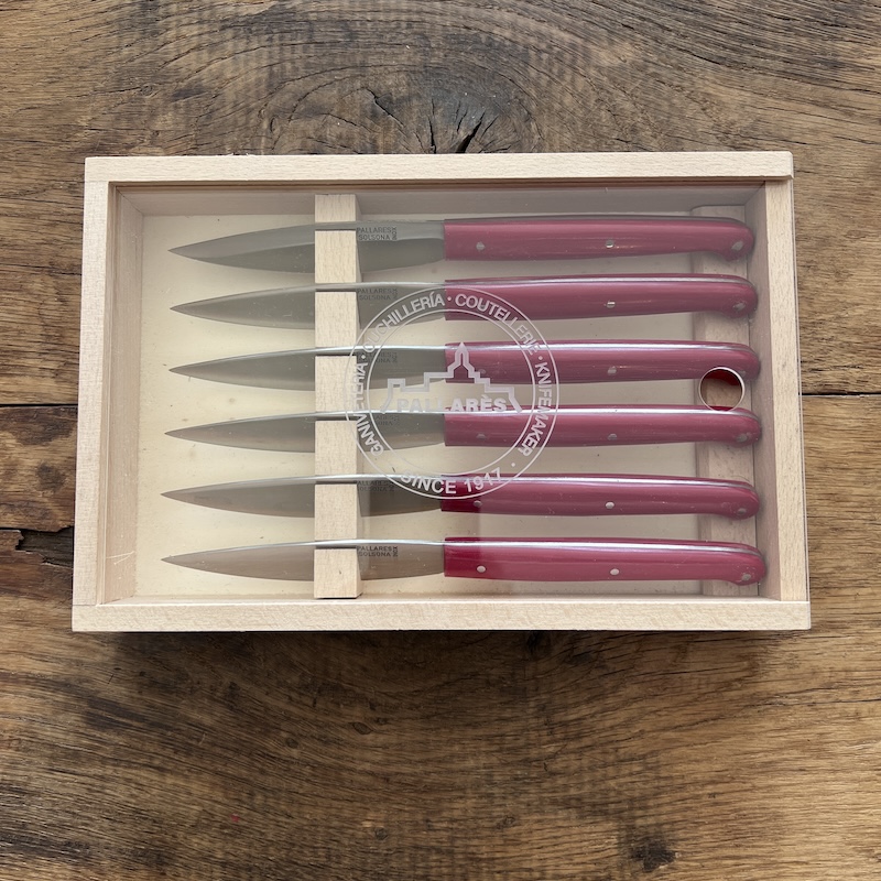 COFFRET COUTEAUX DE TABLE PALLARES FIN RESINE1